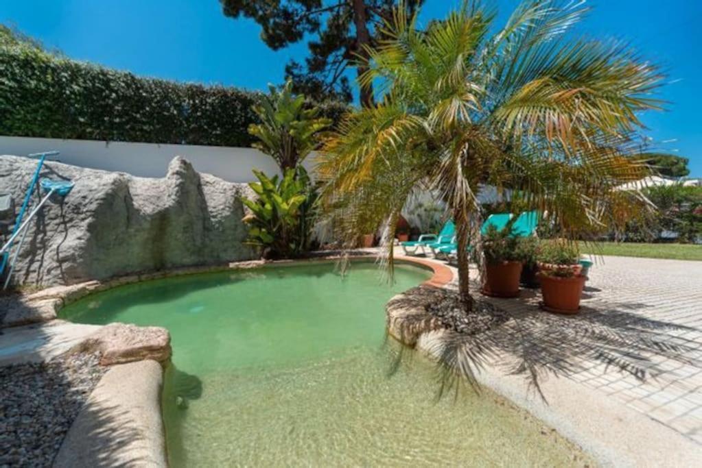 Ocean, Surf, Golf Private Villa With Pool Near Lagoon Casal do Narcizo Екстериор снимка