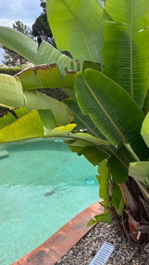 Ocean, Surf, Golf Private Villa With Pool Near Lagoon Casal do Narcizo Екстериор снимка